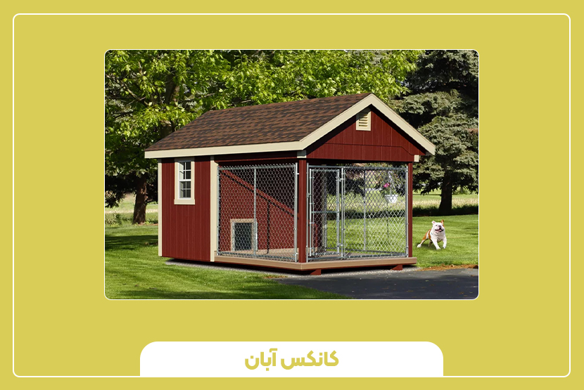ویژگی‌های مهم کانکس حیوانی