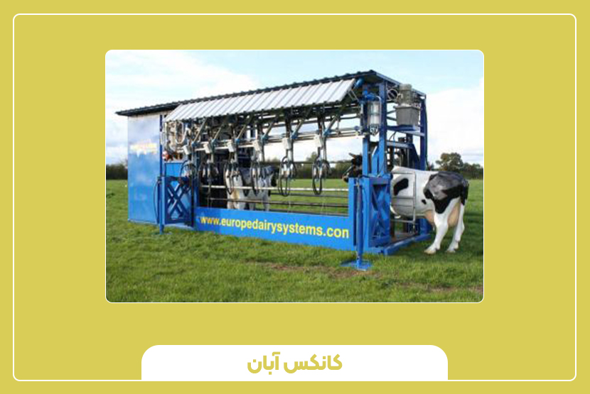 مزایا و معایب استفاده از کانکس شیردوش‌دار