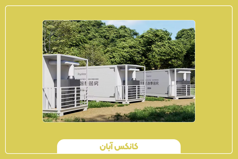 کانکس پرورش قارچ